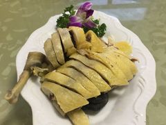 -东康桂家农庄