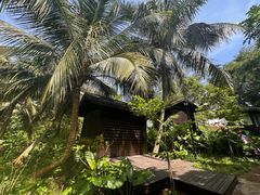 -东寨港红树林旅游区