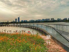 -海珠湖公园
