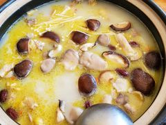 -15年老字号鑫鑫猪肚鸡·椰子鸡海南火锅(兴隆华侨农场店)