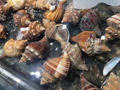 -盒马鲜生(曜一城店)