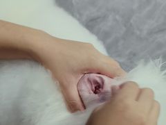 -瑞鹏宠物医院华南总院·夜诊·心脏科·骨科