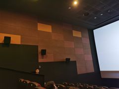 -德呈华业影城(爱琴海LUXE巨幕店)