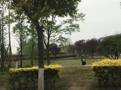 -两河城市森林公园