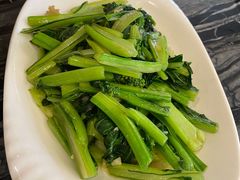 猪油渣菜心-美极鲜食坊(宝安南路店)