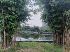 -后襄河公园