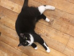 -么么咖啡(燕郊店)