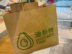 -油梨树AVOCADO TREE(望京店)