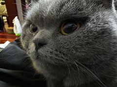 -申普宠物医院·眼科·心内科·影像科(普陀分院)