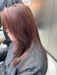 -三原色染发巴黎画染潮色漂色
