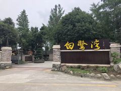 -白鹭湾湿地公园