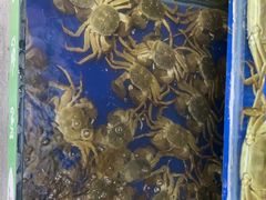 -阳澄湖大闸蟹·琼灵阁牌品牌连锁(吴中总店)