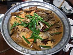 -东来菜馆•手抓海鲜家常菜•海鲜锅贴(鸽子窝店)