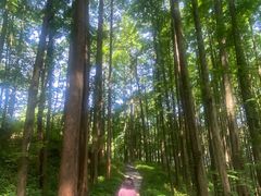 -山王坪喀斯特国家生态公园
