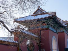 -北陵公园
