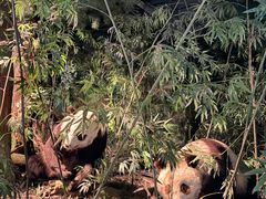 -天津自然博物馆