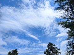-东天目山风景区