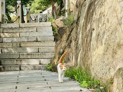 -沂蒙山旅游区云蒙景区(蒙山国家森林公园)