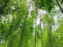 -千泷沟大瀑布旅游区