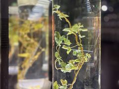-广东中医药博物馆
