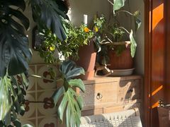 -AHAVA·Fang Baking Studio