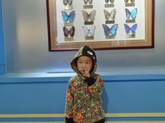 -上海昆虫博物馆