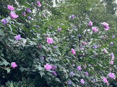 -湖北中医药大学(昙华林校区)
