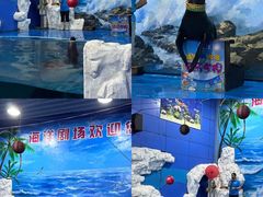 -左海海底世界