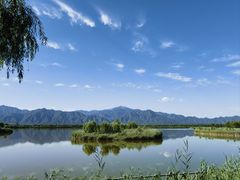 -野鸭湖国家湿地公园