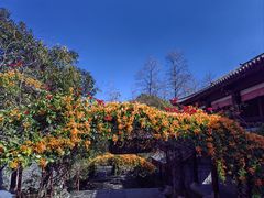 -天龙八部武侠城