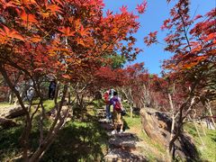-广州市帽峰山景区