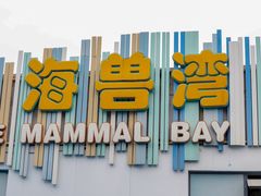 -海合安成都极地海洋公园