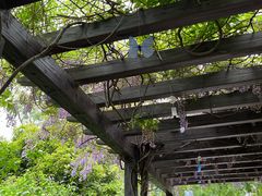 -白马涧龙池景区