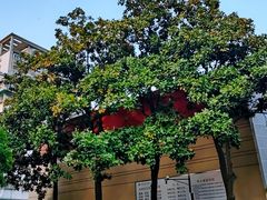 -南京市凤凰花园城小学