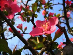 -重庆中央公园(渝北区)