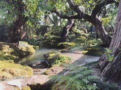 -Chom Cafe and Restaurant