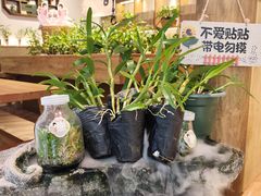 -万达广场(厦门湖里店)