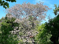 -狼山风景名胜区