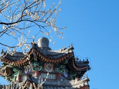-颐和园