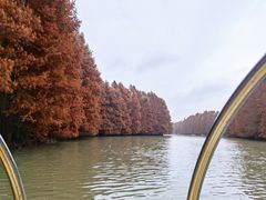 -上海海湾国家森林公园