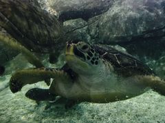 -福州罗源湾海洋世界旅游区