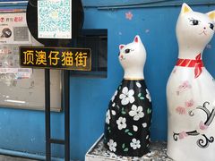 -猫咪博物馆(顶澳仔猫街店)