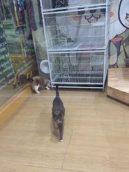 -小象动悟公园(龙湖亦庄天街店)