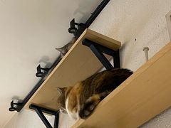 -隅cafe(傅厚岗店)