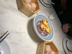 -陶陶居酒家(新天地店)