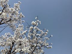 -渭南桃花源民俗文化园