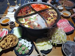 -白乐天毛肚火锅馆(南滨路店)