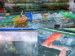 -岛中岛·海鲜大排档·万宁老字号(东澳店)