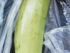 -大连熟食品交易中心