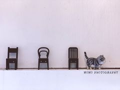 -red donkey coffee